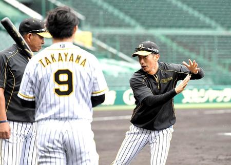 　高山に打撃指導する矢野監督（撮影・高部洋祐）