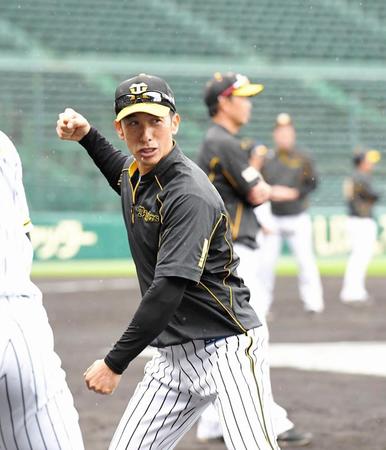 　秋季練習で指導する矢野監督＝甲子園（撮影・高部洋祐）