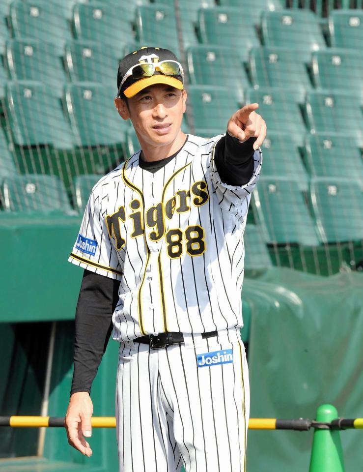 　ナインの練習を見守る矢野監督＝甲子園