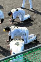 守備練習で疲労困憊の阪神・梅野隆太郎（奥から）阪神・梅野隆太郎、阪神・大山悠輔、阪神・熊谷敬宥＝安芸（撮影・高部洋祐）