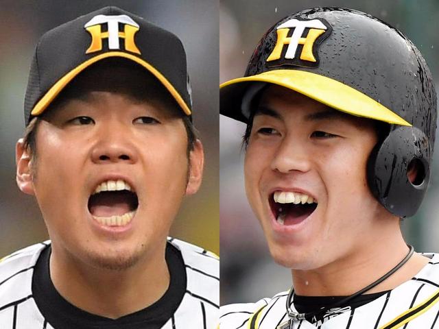 西－梅野 球団史上初のバッテリー同時ＧＧ賞/阪神タイガース/デイリー