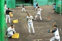 　一心不乱にバットを振るナインを見つめる矢野監督（中央）