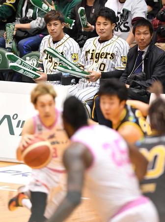 　バスケＢ２・西宮対福島の試合を観戦する木浪（中央）と植田（左）