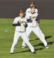 準備運動する西純（左）と井上＝安芸（撮影・高部洋祐）