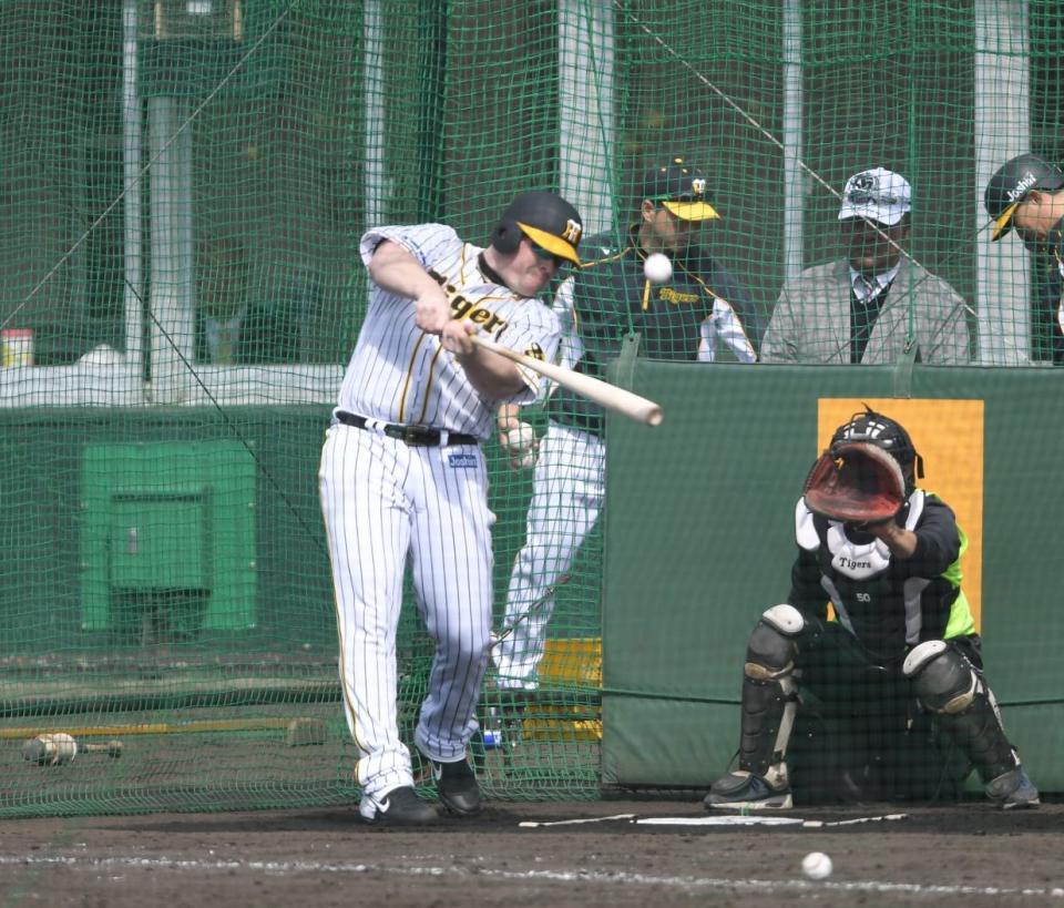 ランチ特打で快音を響かせるボーア