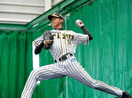 ブルペンで黙々と投げ込む阪神・能見篤史＝宜野座（撮影・田中太一）