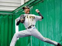 ブルペンで黙々と投げ込む阪神・能見篤史＝宜野座（撮影・田中太一）