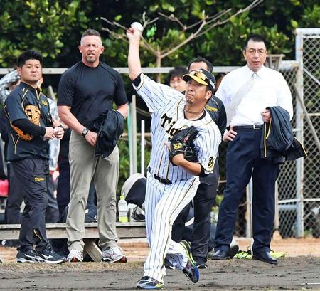 　サブグラウンドでキャッチボールをする藤川（手前）を懐かしげに見つめるウィリアムス駐米スカウト（左から２人目）
