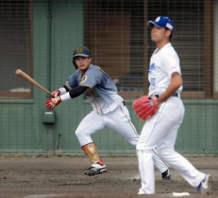 　４回、中日・阿知羅（右）から３ランを放つ阪神・木浪聖也