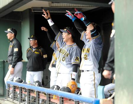 　８回、ベンチから声を出してムードを盛り上げる木浪（中央）と北條（手前）