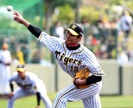 力投する阪神・藤浪晋太郎＝かりゆしホテルズボールパーク宜野座（撮影・棚橋慶太）