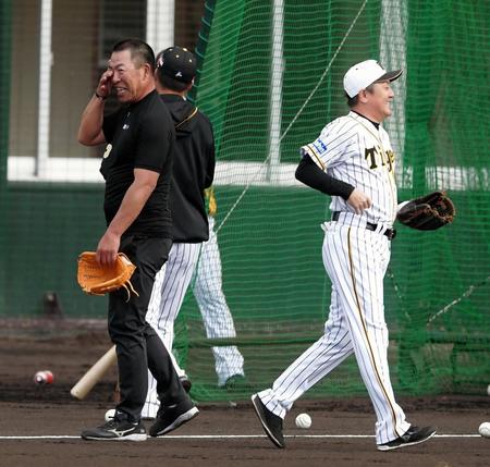 早出特打で打撃投手を務めた阪神・井上一樹コーチ（左）は足を痛め阪神・清水雅治ヘッドコーチと交代する＝かりゆしホテルズボールパーク宜野座（撮影・中田匡峻）
