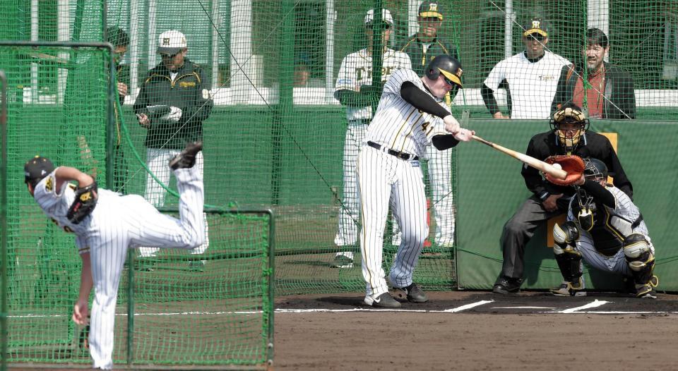 　打撃練習で投手を務めた藤川（左）の球を空振りするボーア