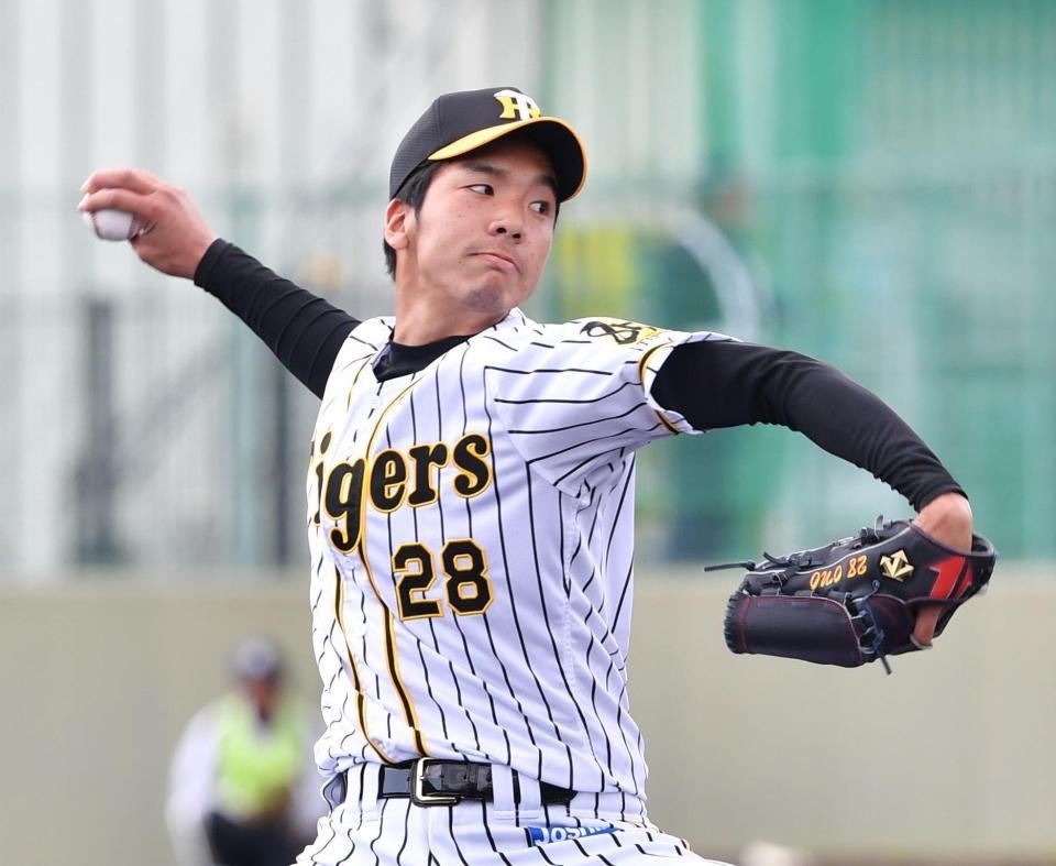 練習試合に先発する阪神・小野泰己＝かりゆしホテルズボールパーク宜野座（撮影・西岡正）