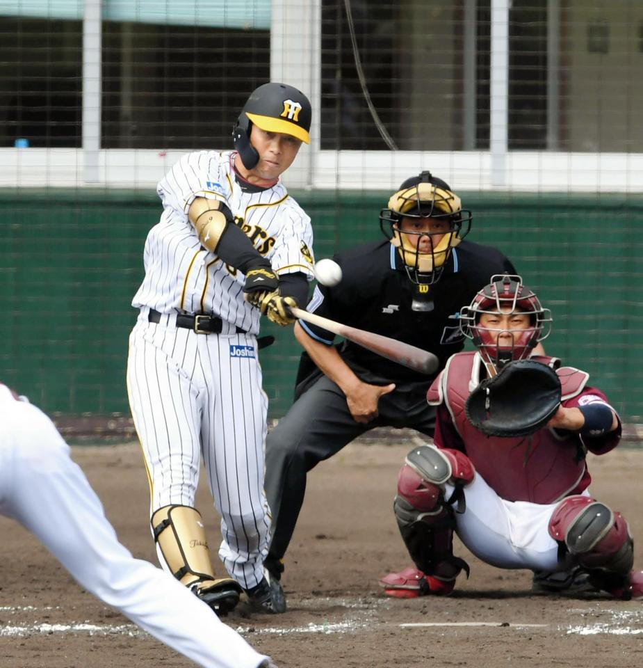 ４回阪神、右越えソロを放つ高山俊＝かりゆしホテルズボールパーク宜野座（撮影・飯室逸平）