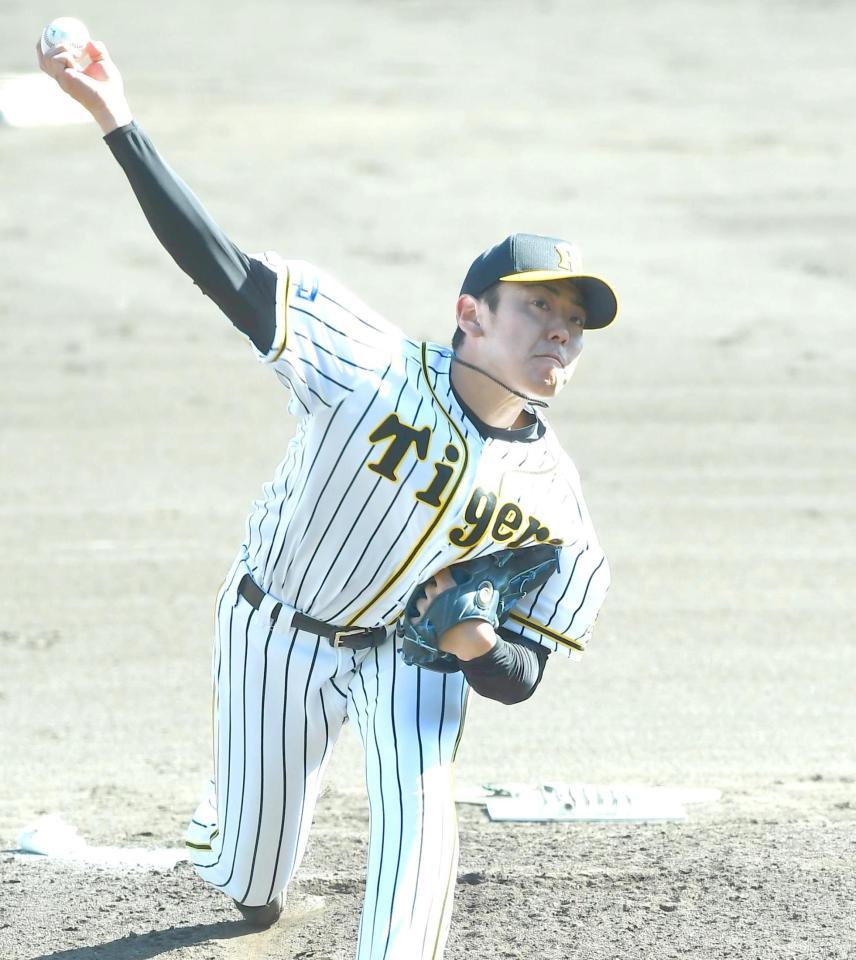 シート打撃に登板する阪神・小川一平＝安芸（撮影・北村雅宏）