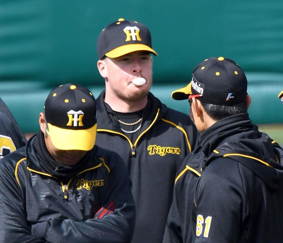 　フーセンガムを膨らましてリラックスムードのボーア