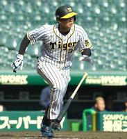 　５回、右飛に倒れる井上（撮影・北村雅宏）