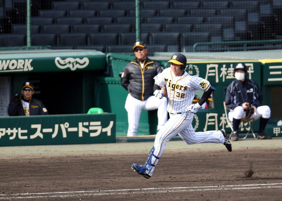 　５回、井上は右飛を放ち一塁へ向かう（左端は矢野監督）＝撮影・山口登