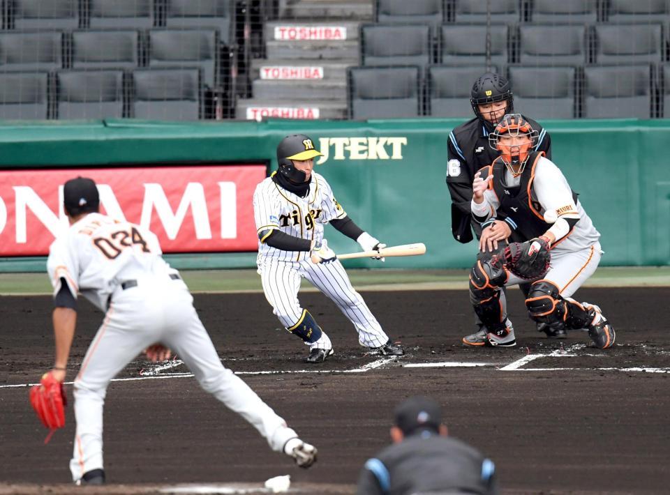 　１回、近本は投前セーフティーバントを決める