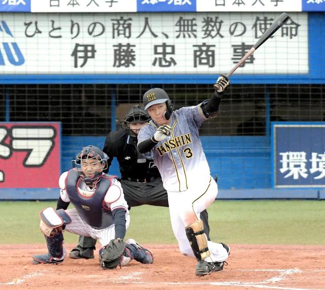 阪神・大山　三塁譲らん！ＯＰ戦虎首位打者　３の３で打率・３４５