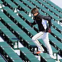 　アルプス席を駆け上がる西勇