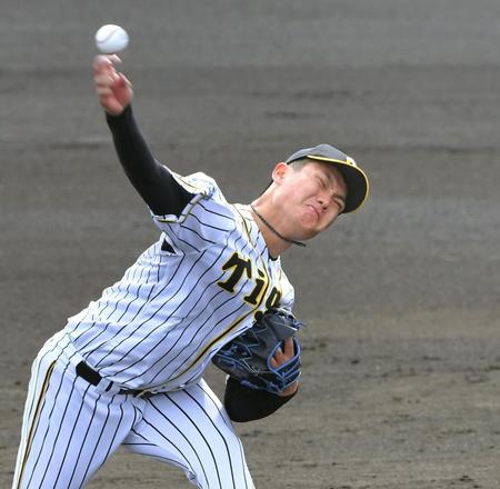 　力投する西純（撮影・高部洋祐）