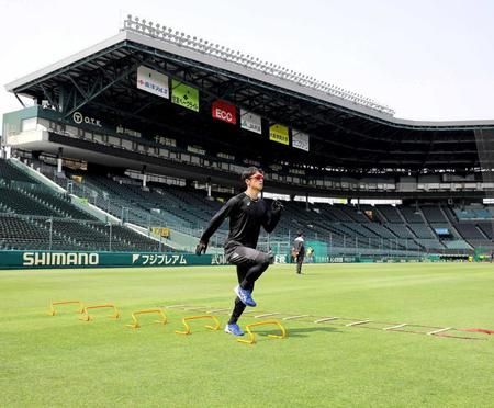 　甲子園の外野部分でトレーニングに励む近本（阪神タイガース提供）