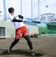 　打撃練習する井上（阪神タイガース提供）　