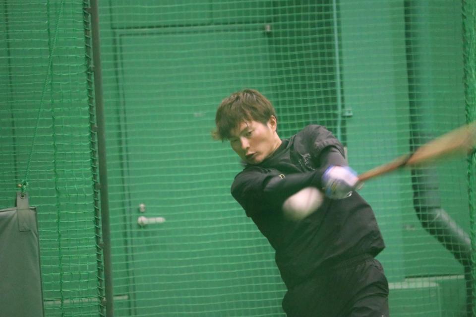 　打撃練習をする阪神・北條史也＝甲子園（阪神タイガース提供）