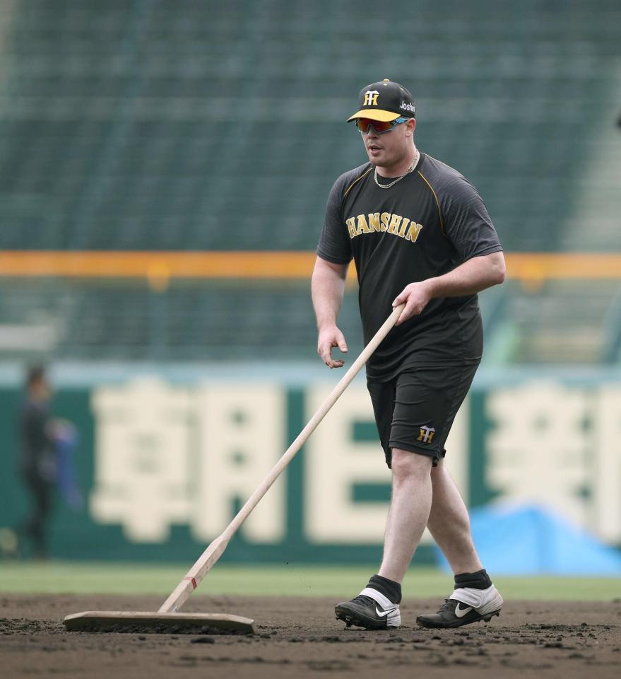 　グラウンドを整備するボーア（阪神タイガース提供）