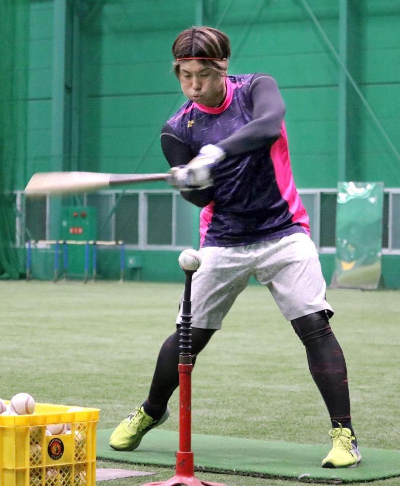 打撃練習をする梅野（阪神タイガース提供）