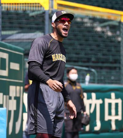 　練習に汗を流すスアレス（阪神タイガース提供）