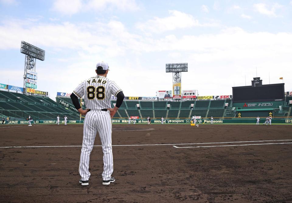 　練習を見守る矢野監督（阪神タイガース提供）