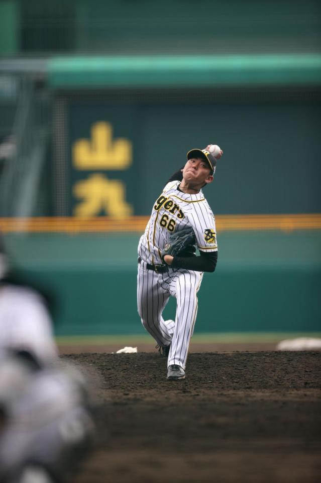 　シート打撃に登板する阪神・小川一平＝甲子園（阪神タイガース提供）