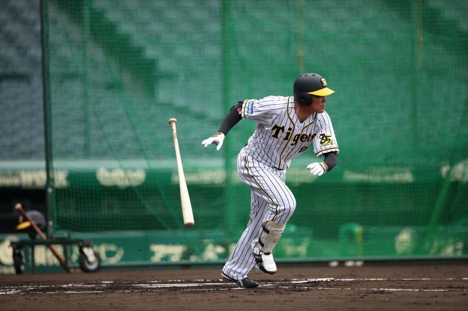 　シート打撃で中前安打を放つ阪神・福留孝介＝甲子園（阪神タイガース提供）