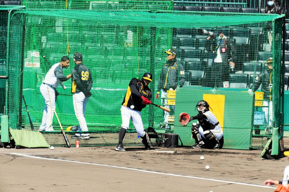 　甲子園で練習に励む糸井（中央）ら（３月１２日撮影）
