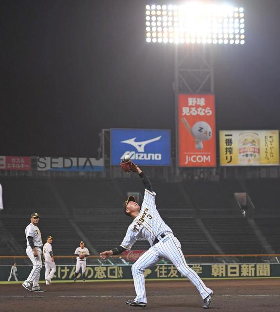 阪神、ナイター後に異例のフライ捕球練習　矢野監督「中途半端な時間がすごく見にくい」