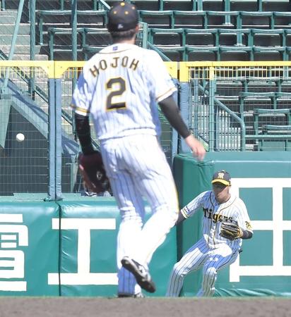 ５回、打球を処理する大山（奥）＝撮影・高部洋祐