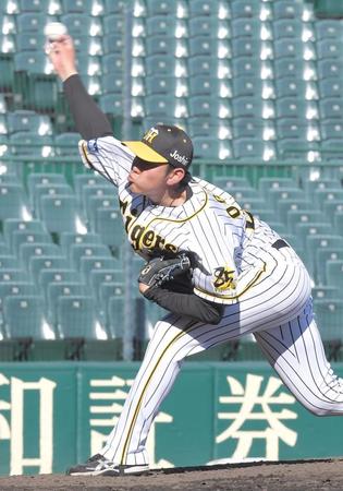 力投する阪神・小川一平＝甲子園（撮影・高部洋祐）