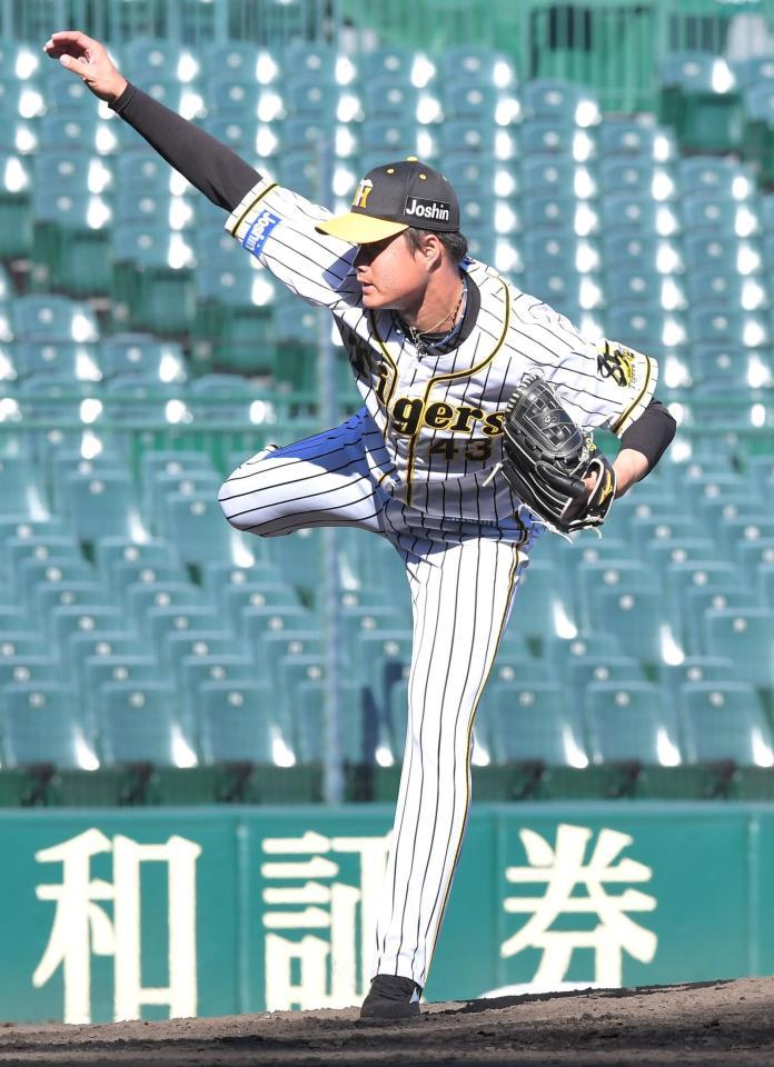 力投する守屋功輝（撮影・高部洋祐）