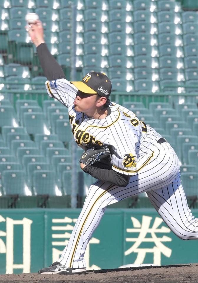 力投する阪神・小川一平＝甲子園（撮影・高部洋祐）