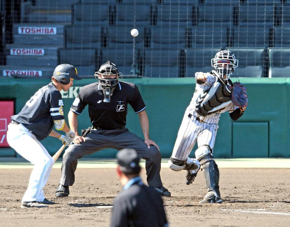 　５回、二盗を狙った甲斐をアウトにする坂本（撮影・山口登）