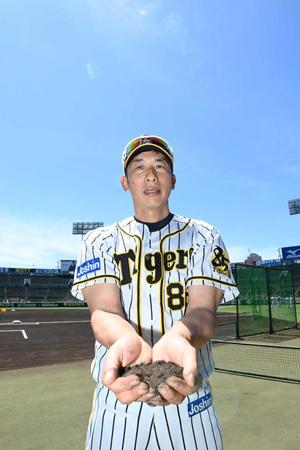 　甲子園の土を手にする矢野監督（代表撮影）