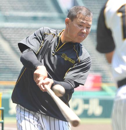 　開幕へ向け打撃練習にも力が入る福留