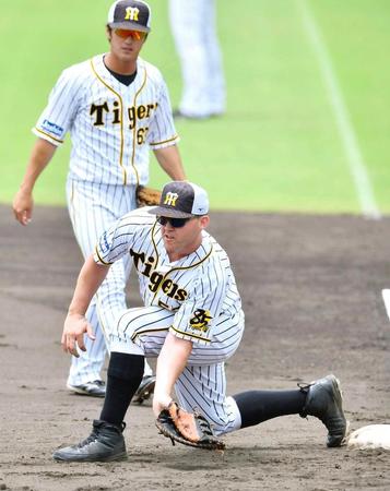 　一塁守備練習で軽快な動きを見せるサンズ（代表撮影）