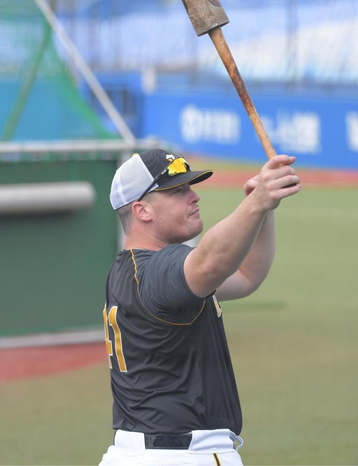 試合前に打撃練習をする阪神・ボーア＝神宮球場（撮影・堀内翔）