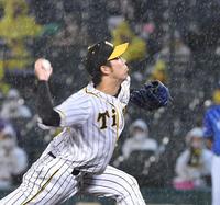 　雨の中、力投する青柳（撮影・飯室逸平）