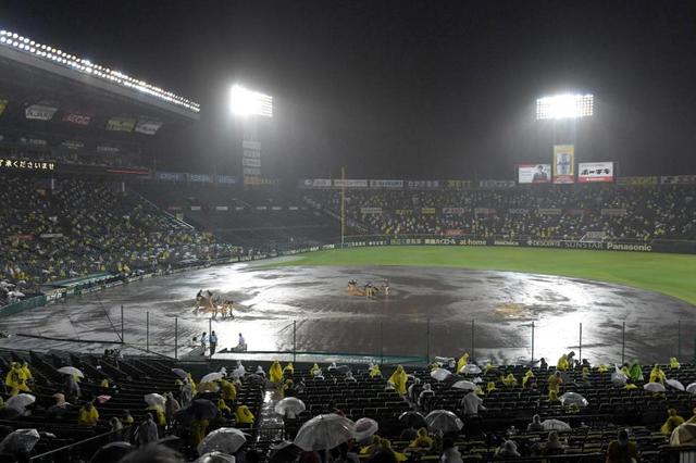 阪神　ファンと雨を味方に４連勝　近本が先頭打者弾　大山も一発　青柳が２勝目