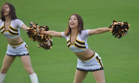 　ダンスで盛り上げるタイガースガールズ（撮影・神子素慎一）